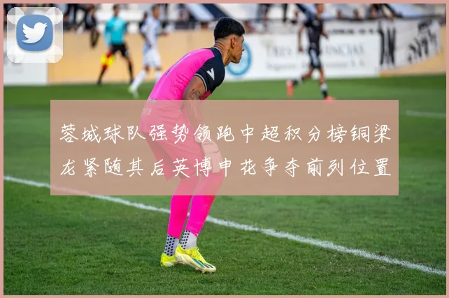 蓉城球队强势领跑中超积分榜铜梁龙紧随其后英博申花争夺前列位置